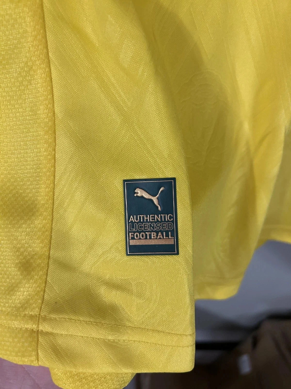 Palmeiras 2025/26 Third Jersey – Puma